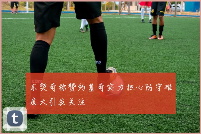 东契奇称赞约基奇实力担心防守难度大引发关注