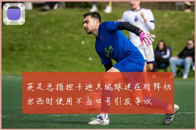 英足总指控卡迪夫城球迷在对阵切尔西时使用不当口号引发争议
