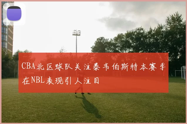 CBA北区球队关注泰韦伯斯特本赛季在NBL表现引人注目