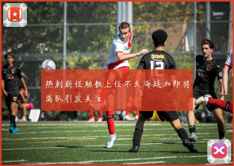 热刺新任助教上任不久海廷加即将离队引发关注
