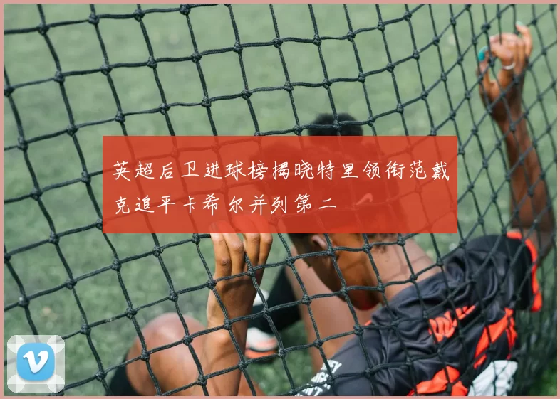 英超后卫进球榜揭晓特里领衔范戴克追平卡希尔并列第二