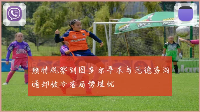 赖特观察到图多尔寻求与范德芬沟通却被冷落局势堪忧